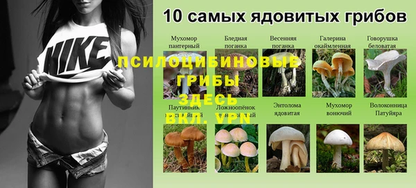 мяу мяу кристалл Баксан